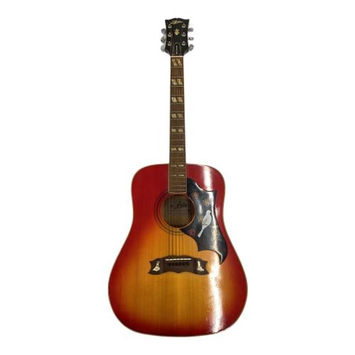 ARIA (アリア) DOVE アコースティックギター WD-33