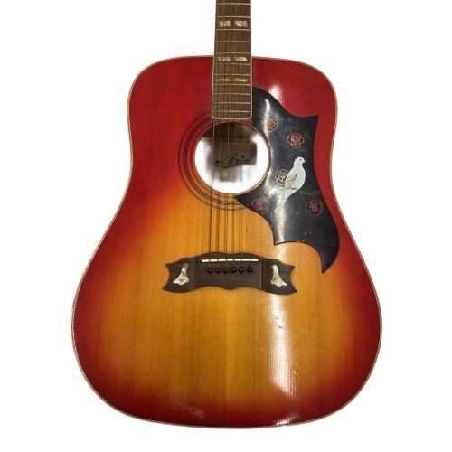 ARIA (アリア) DOVE アコースティックギター WD-33
