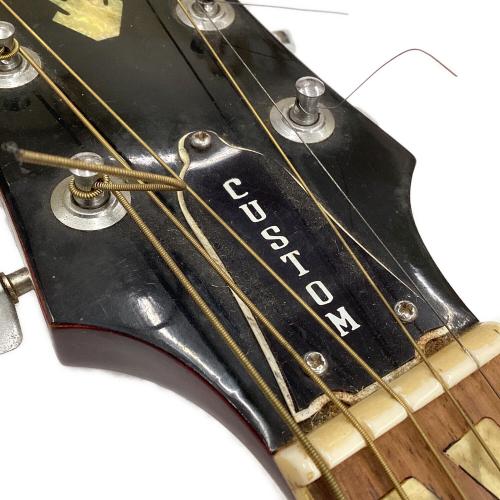ARIA (アリア) DOVE アコースティックギター WD-33