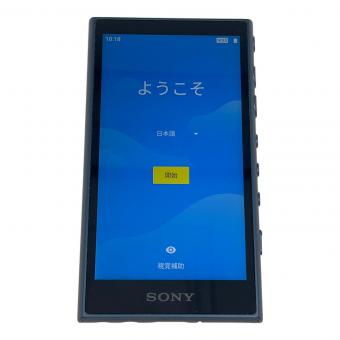 SONY (ソニー) WALKMAN NW-A105HN 16GB