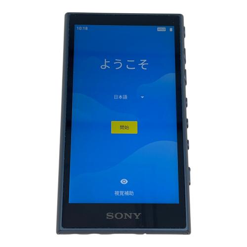 SONY (ソニー) WALKMAN NW-A105HN 16GB