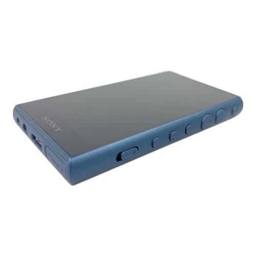 SONY (ソニー) WALKMAN NW-A105HN 16GB