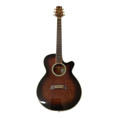 Takamine (タカミネ) ブラウンバースト エレアコギター PT-108