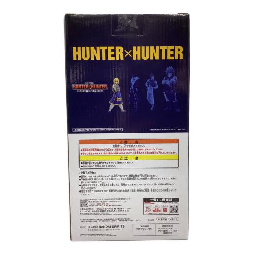 HUNTER×HUNTER (ハンターハンター) フィギュア REVENGE OF SCARLET MASTERLISE