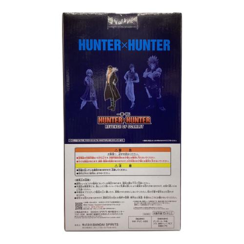 HUNTER×HUNTER (ハンターハンター) フィギュア REVENGE OF SCARLET MASTERLISE