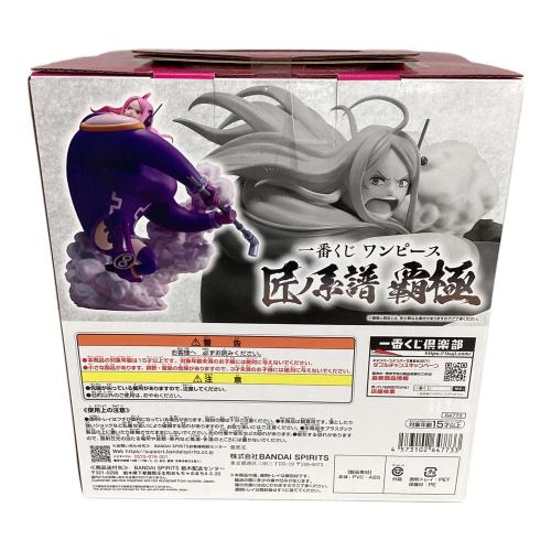 ONE PIECE (ワンピース) フィギュア E賞ジュエリー・ボニー 歪んだ未来 墨式塊技