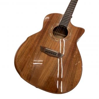 Washburn (ワッシュバーン) G55ce Koa Natural エレアコギター WCG55CE