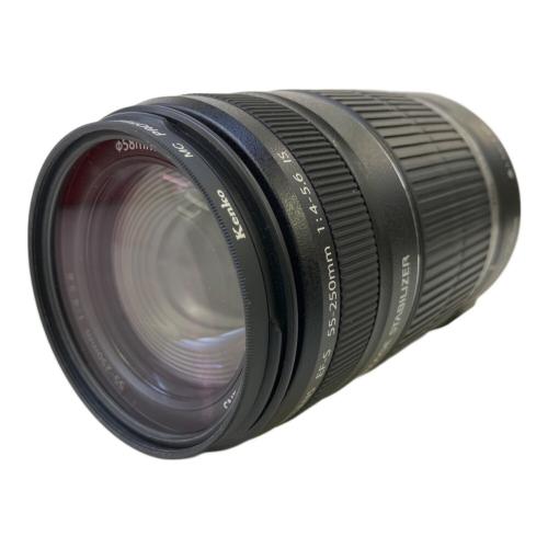 CANON (キヤノン) ズームレンズ EFS55-250mm