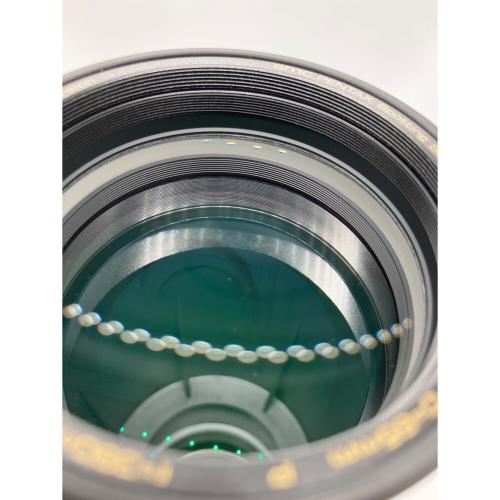 PENTAX (ペンタックス) スポッティングスコープ＋接眼レンズ PF-65EDⅡ+XW14