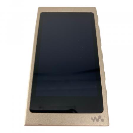 SONY (ソニー) WALKMAN NW-A45 本体のみ 動作確認済み｜トレファクONLINE