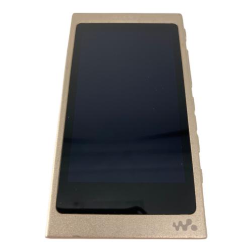 SONY (ソニー) WALKMAN NW-A45 本体のみ 動作確認済み