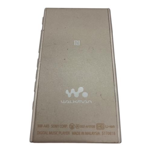 SONY (ソニー) WALKMAN NW-A45 本体のみ 動作確認済み