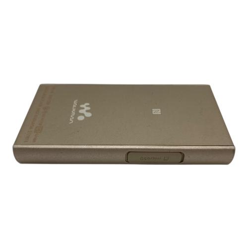 SONY (ソニー) WALKMAN NW-A45 本体のみ 動作確認済み