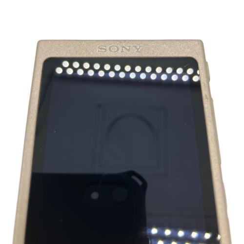 SONY (ソニー) WALKMAN NW-A45 本体のみ 動作確認済み