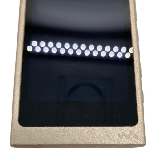 SONY (ソニー) WALKMAN NW-A45 本体のみ 動作確認済み