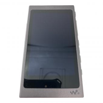 SONY (ソニー) WALKMAN NW-A45 充電ケーブル付 動作確認済み