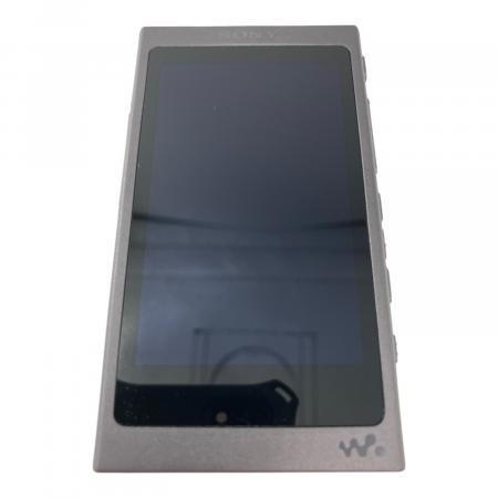 SONY (ソニー) WALKMAN NW-A45 充電ケーブル付 動作確認済み