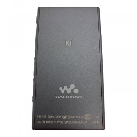 SONY (ソニー) WALKMAN NW-A45 充電ケーブル付 動作確認済み