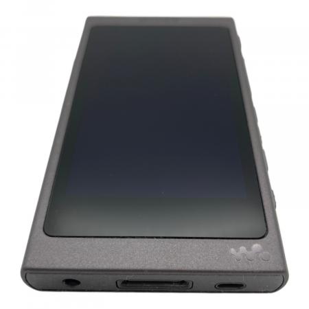 SONY (ソニー) WALKMAN NW-A45 充電ケーブル付 動作確認済み