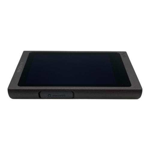 SONY (ソニー) WALKMAN NW-A45 充電ケーブル付 動作確認済み