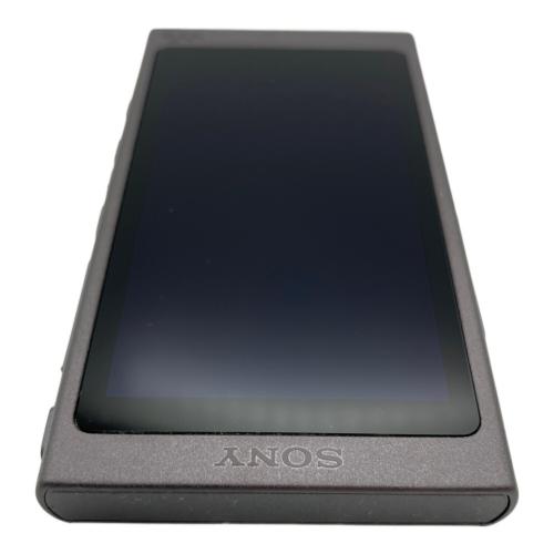 SONY (ソニー) WALKMAN NW-A45 充電ケーブル付 動作確認済み