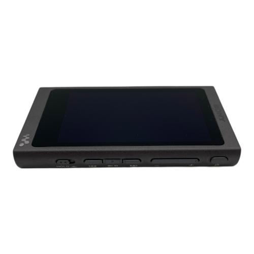 SONY (ソニー) WALKMAN NW-A45 充電ケーブル付 動作確認済み