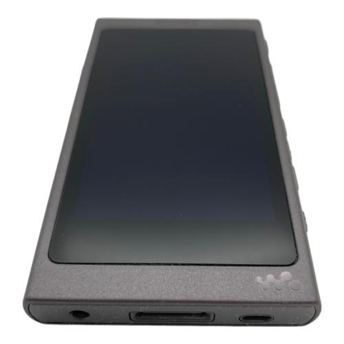 SONY (ソニー) WALKMAN NW-A45 充電ケーブル付 動作確認済み