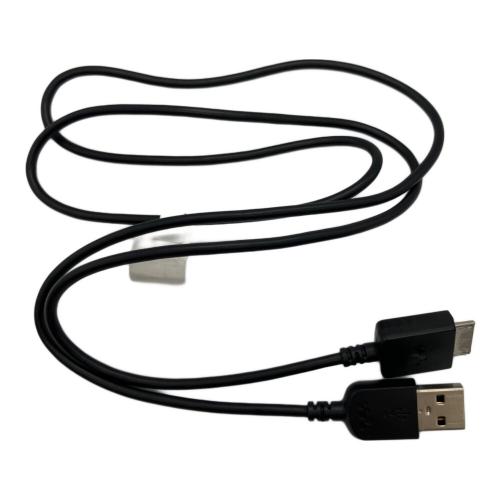 SONY (ソニー) WALKMAN NW-A45 充電ケーブル付 動作確認済み