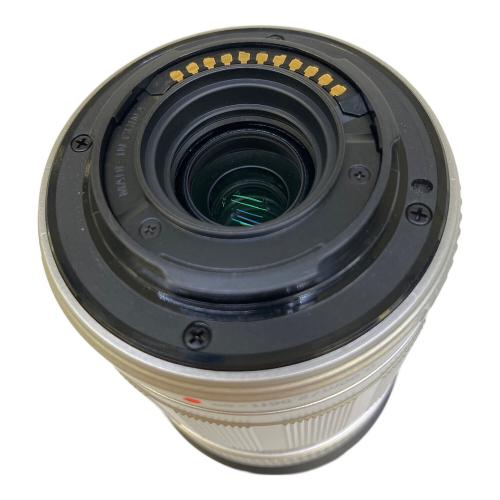 OLYMPUS (オリンパス) ミラーレス一眼カメラ E-PL1s ダブルズームキット