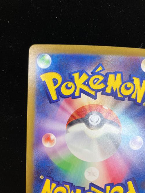 ナンジャモのハラバリーEX ポケモンカード 125/100 SAR
