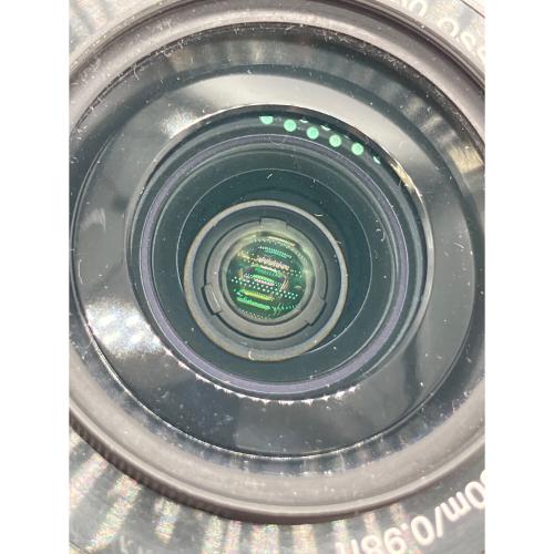 SONY (ソニー) 単焦点レンズ SELP1650