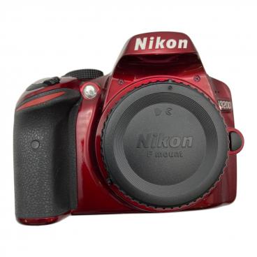 Nikon (ニコン) デジタル一眼レフカメラ D70 ショット数12,177