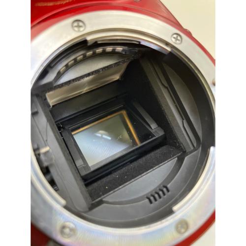 Nikon (ニコン) デジタル一眼レフカメラ D3200
