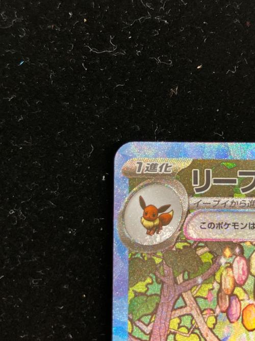 リーフィアEX ポケモンカード SAR スカーレット&バイオレット