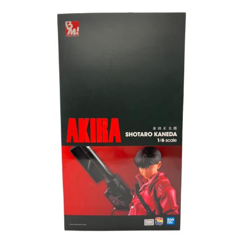 AKIRA (アキラ) フィギュア BM! PROJECT