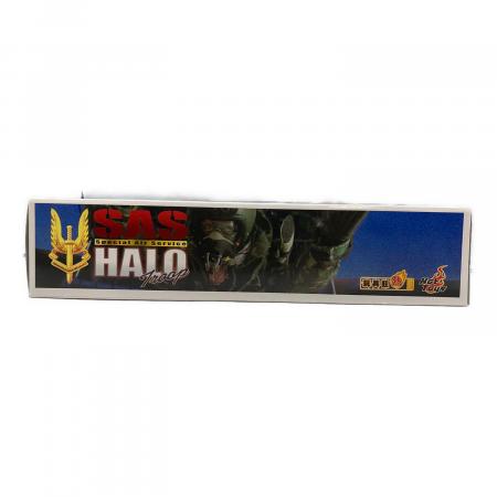 HOT TOYS 12インチミリタリーフィギュア パーツ一部欠損 SAS HALO