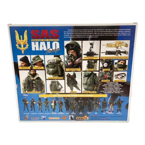 HOT TOYS 12インチミリタリーフィギュア パーツ一部欠損 SAS HALO