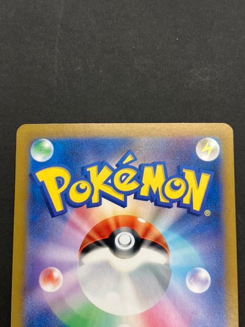 ポケモンカード ナンジャモのハラバリーex 125/100 SAR