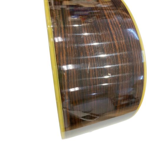 MORRIS (モーリス) アコースティックギター W-50