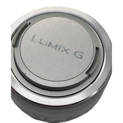 Panasonic (パナソニック) デジタル一眼レフカメラ DC-GF10 LUMIX 動作確認済み