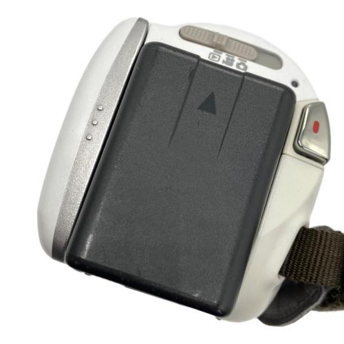 Panasonic (パナソニック) ビデオカメラ HC-V520M