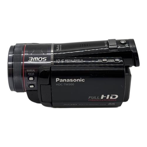 Panasonic (パナソニック) デジタルビデオカメラ HDC-TM300