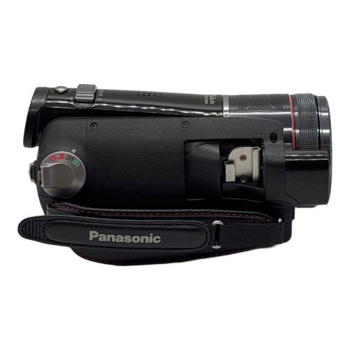 Panasonic (パナソニック) デジタルビデオカメラ HDC-TM300