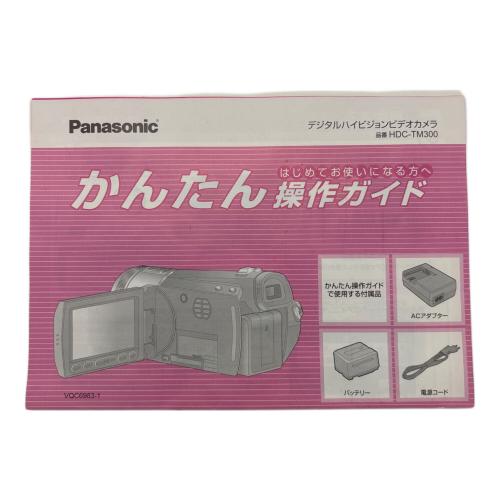 Panasonic (パナソニック) デジタルビデオカメラ HDC-TM300