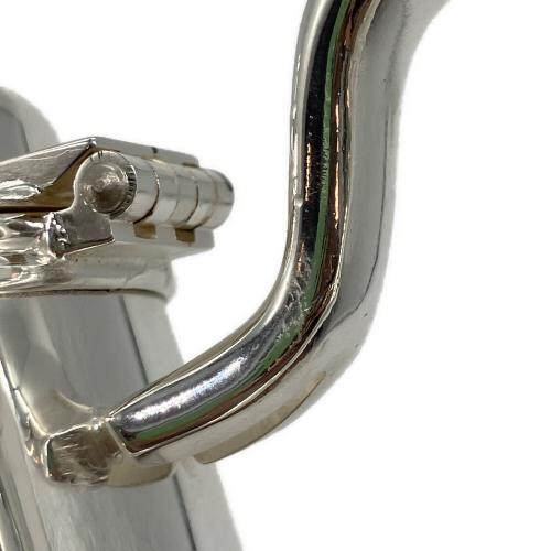 POSH (ポッシュ) ティーポット クリアライトシルバー