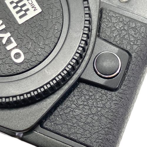 OLYMPUS (オリンパス) デジタルカメラ E-M10MarkⅡ