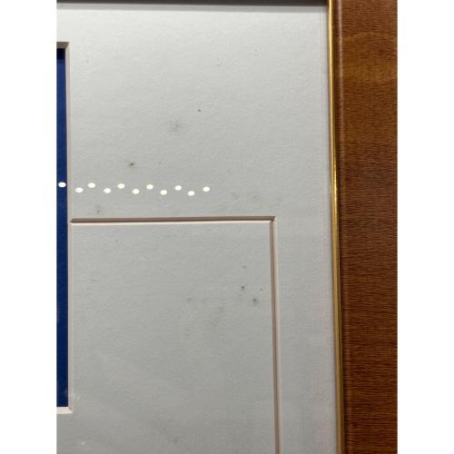 ディズニースタンプコレクション ディズニーグッズ 額ヨゴレ有