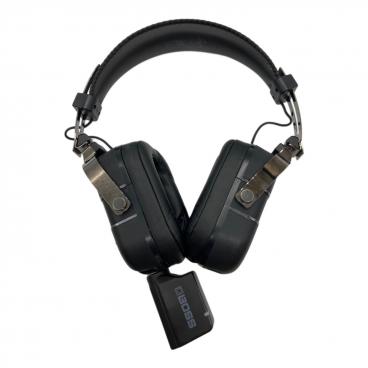 SONY (ソニー) WALKMAN NW-A306 YY1301B1｜トレファクONLINE