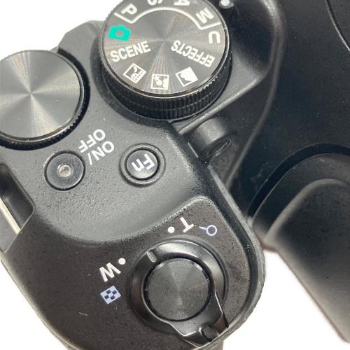 Nikon (ニコン) デジタル一眼レフカメラ COOLPIX P900