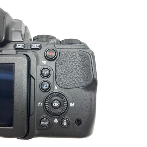 Nikon (ニコン) デジタル一眼レフカメラ COOLPIX P900